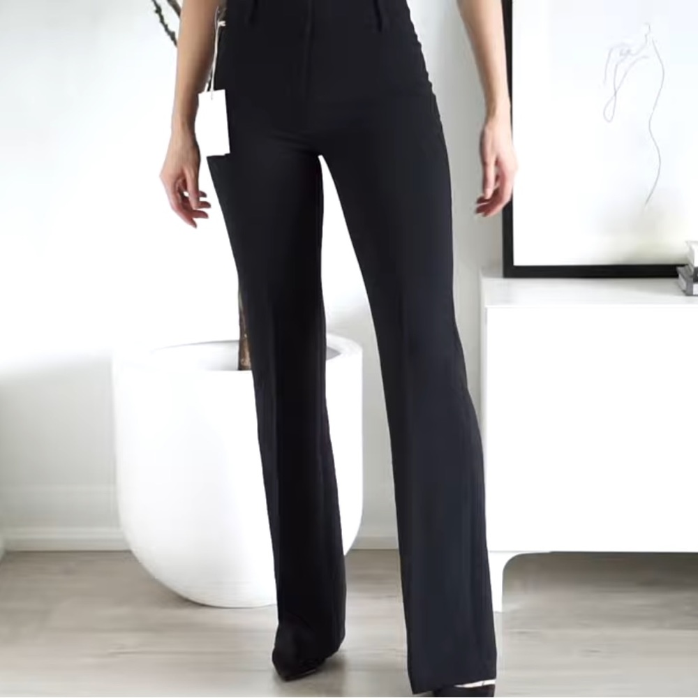 Aritzia Babaton Publish Pants